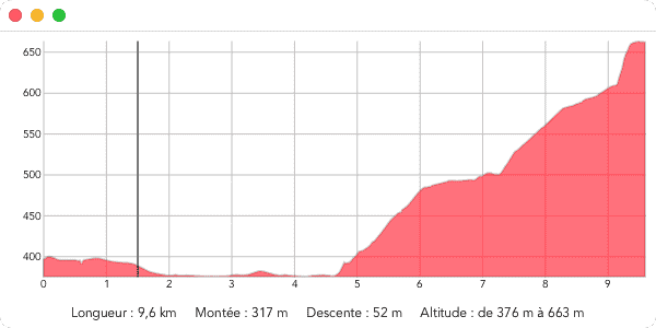 profile-display;16.png